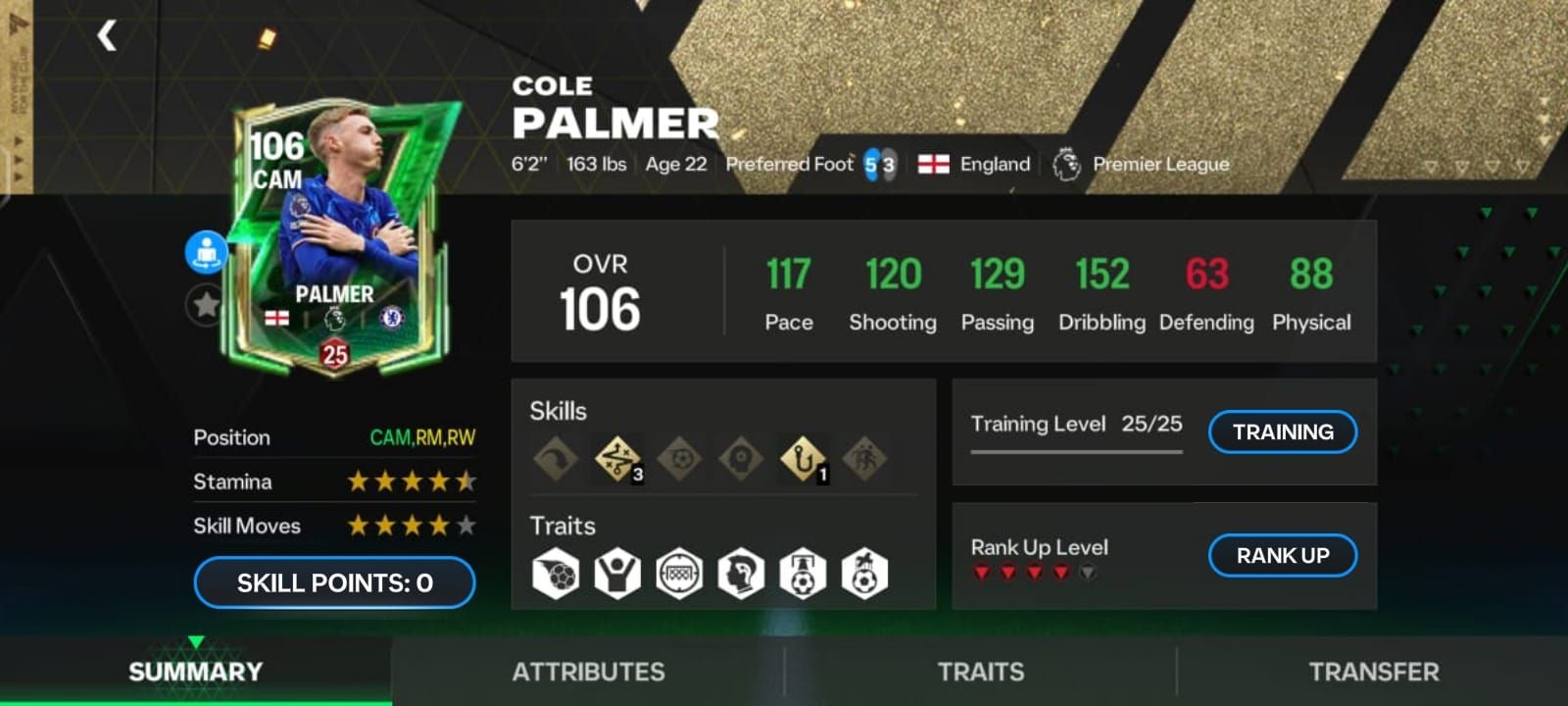 palmer.jpg
