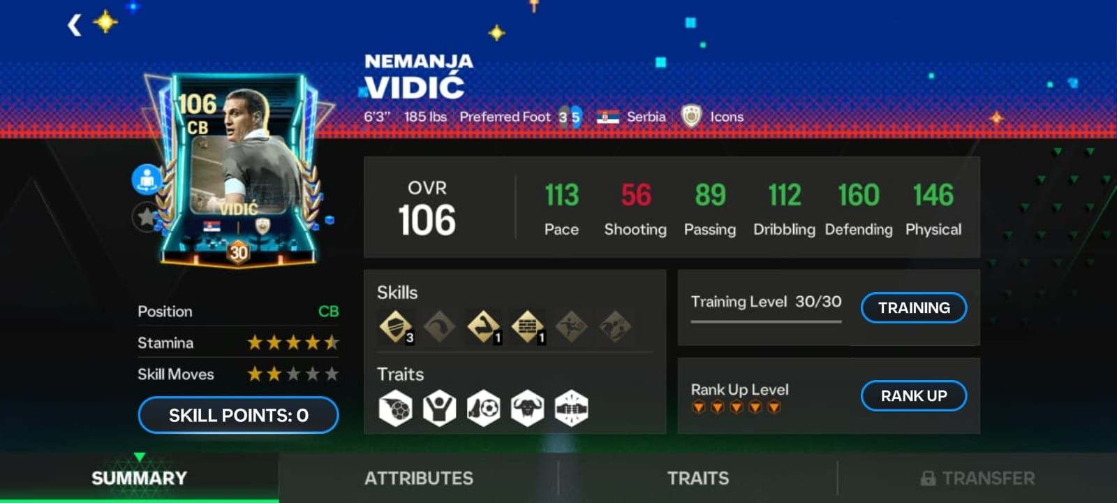 vidic.jpg