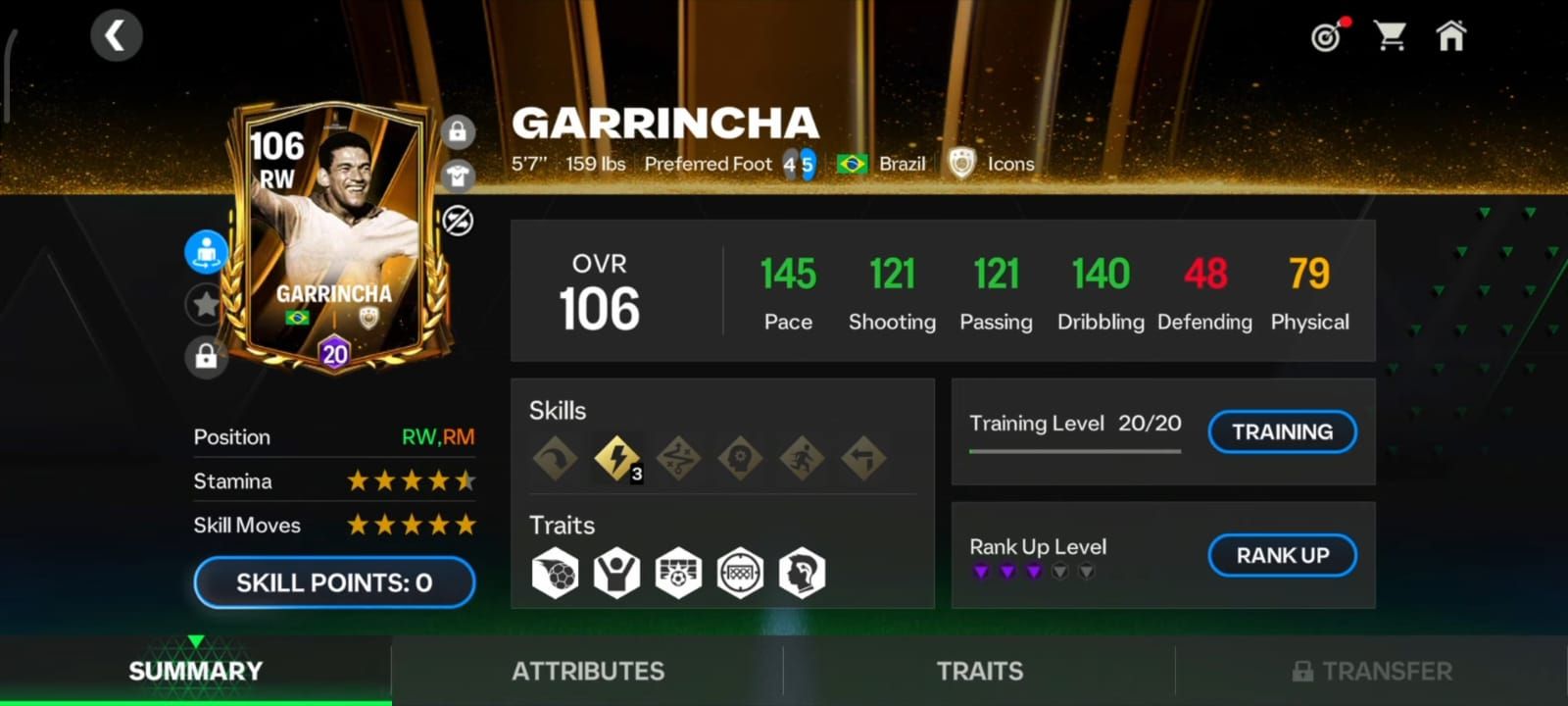 garrincha.jpg