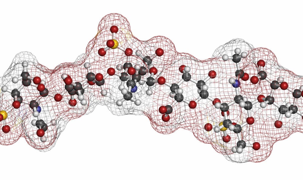 The Extracellular Matrix: Key To Unravelling Chronic Disease?
