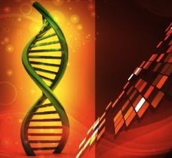 glutathione and glutathione peroxidase peroxidase Team:UNSW Australia/Model/Glutathione System