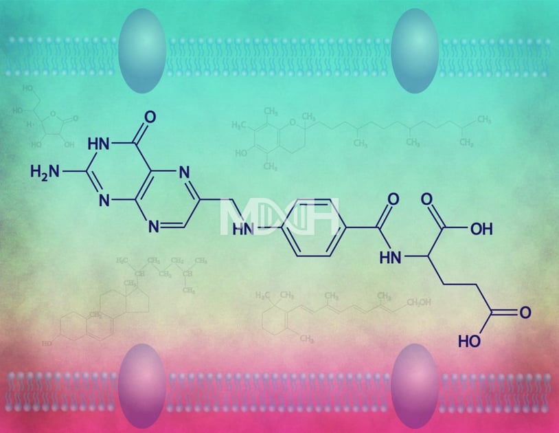 Folic Acid, Folate & Methylfolate: Potential Problems & Critical ...