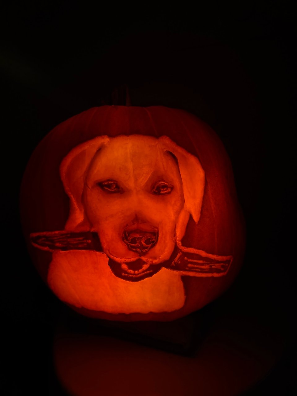 2026 pumpkin