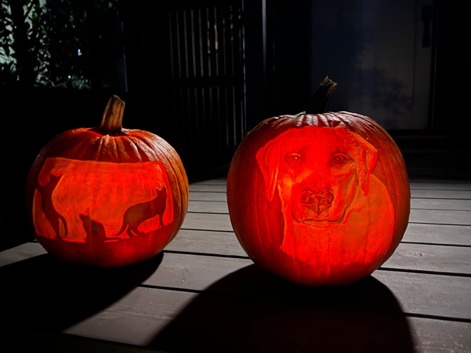 Pumpkins at night