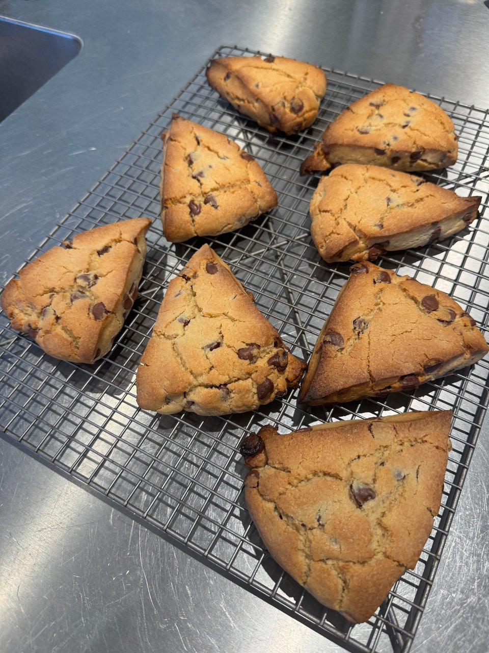 Peanut butter chocolate chip scones  cooling on a wire rack