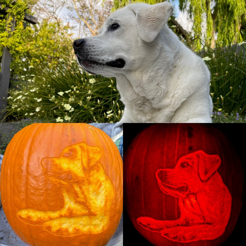 Pumpkin carved as a dog.