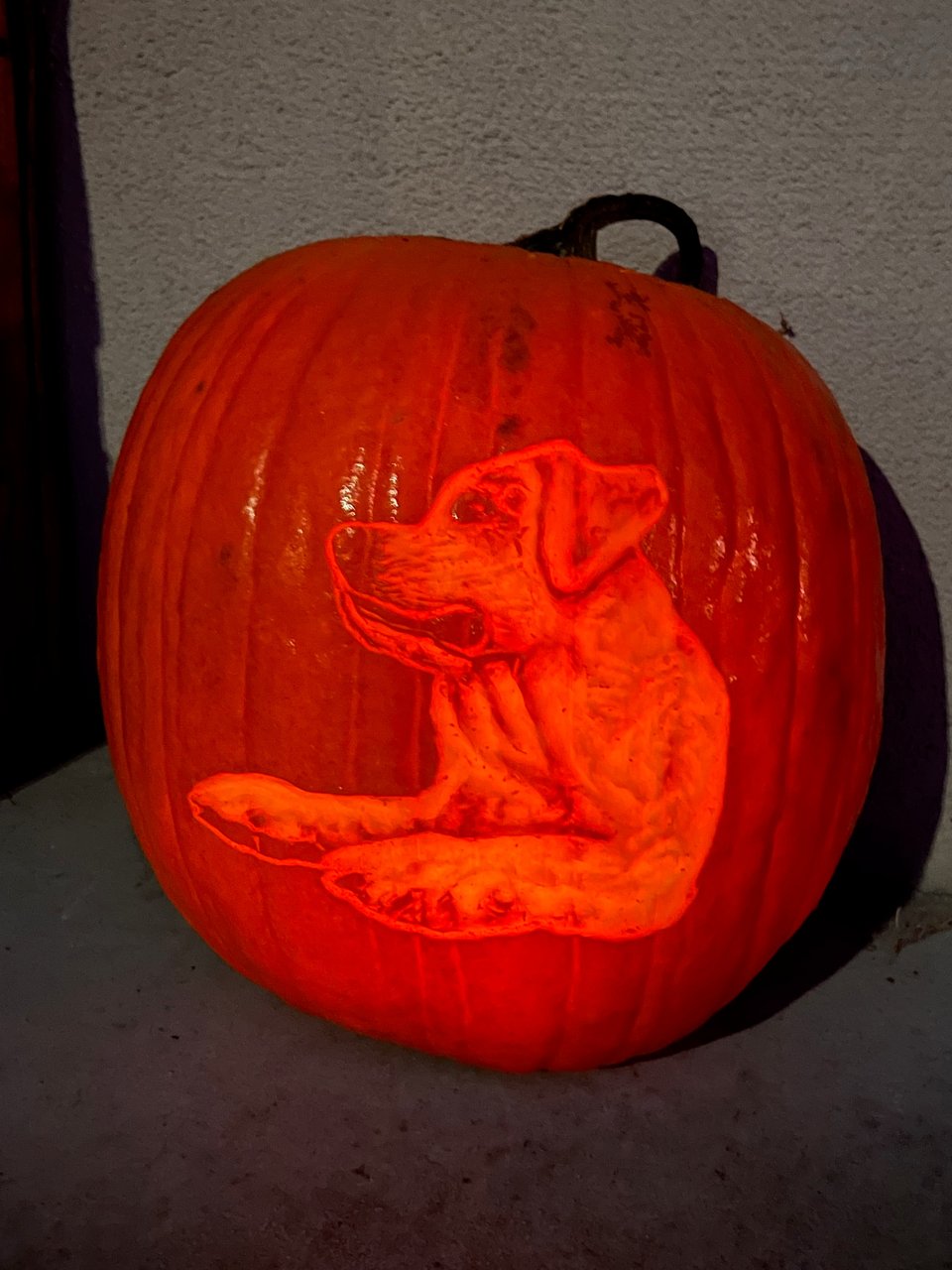 Pumpkin carved as a dog.