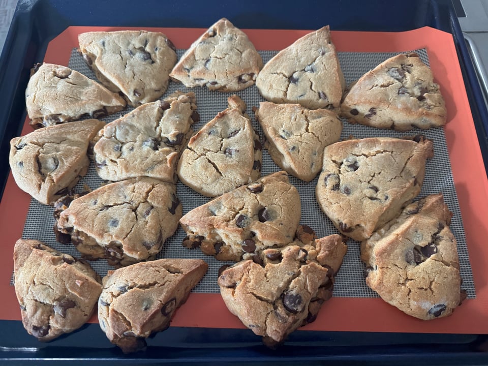 Peanut butter chocolate chip scones  on a baking sheet