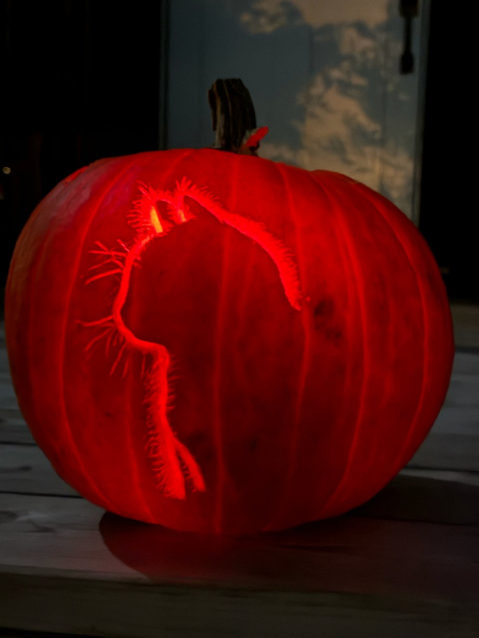 Cat pumpkin