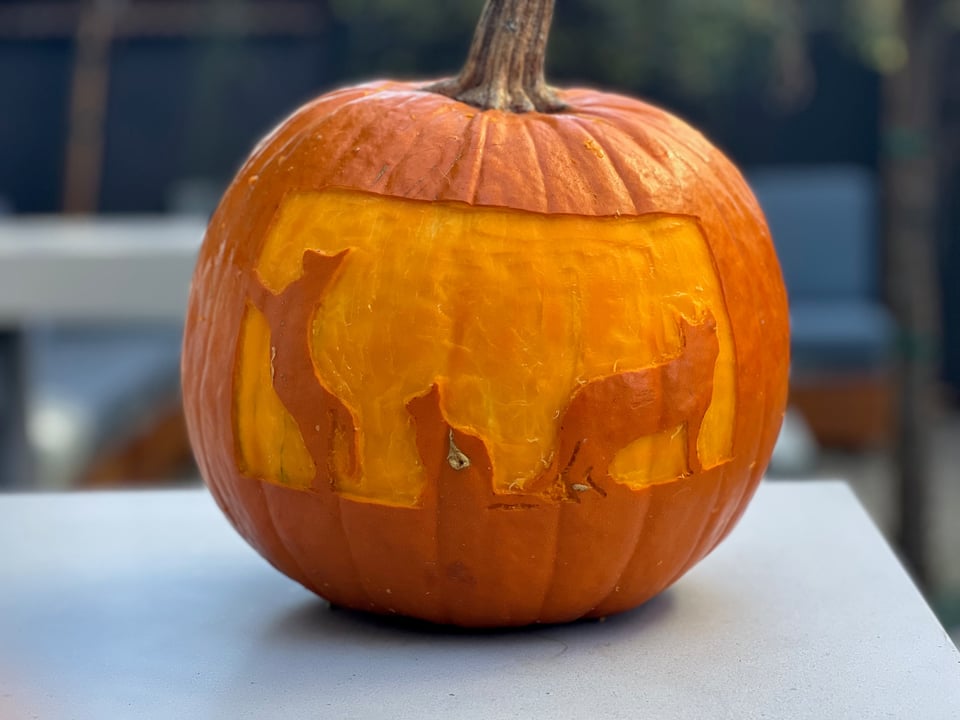 Pumpkin carved as cats.