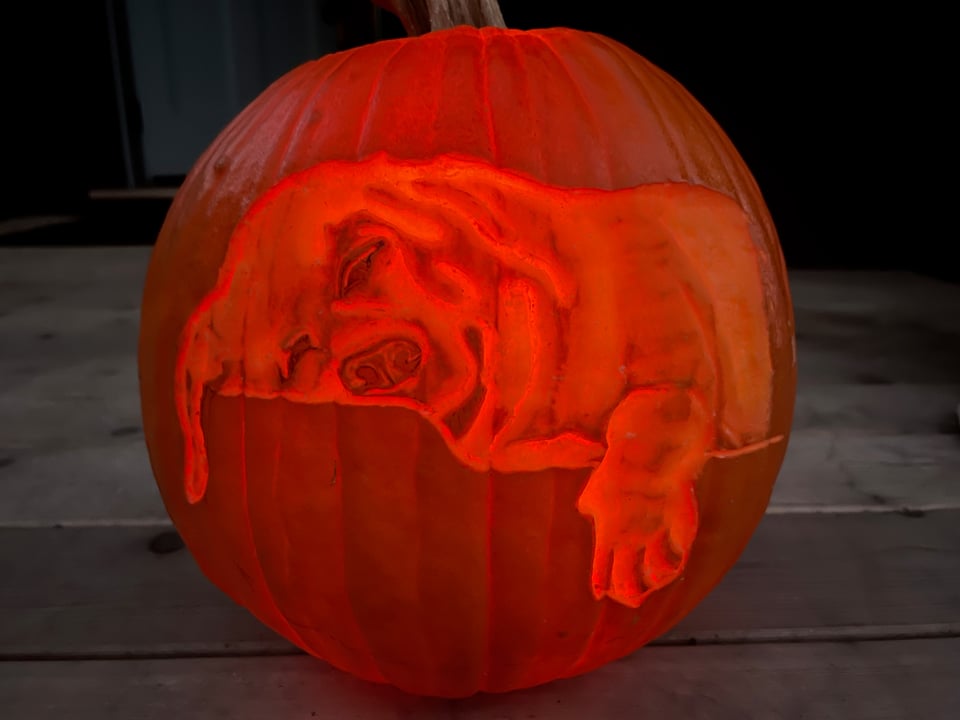 Pumpkin carved as a dog.