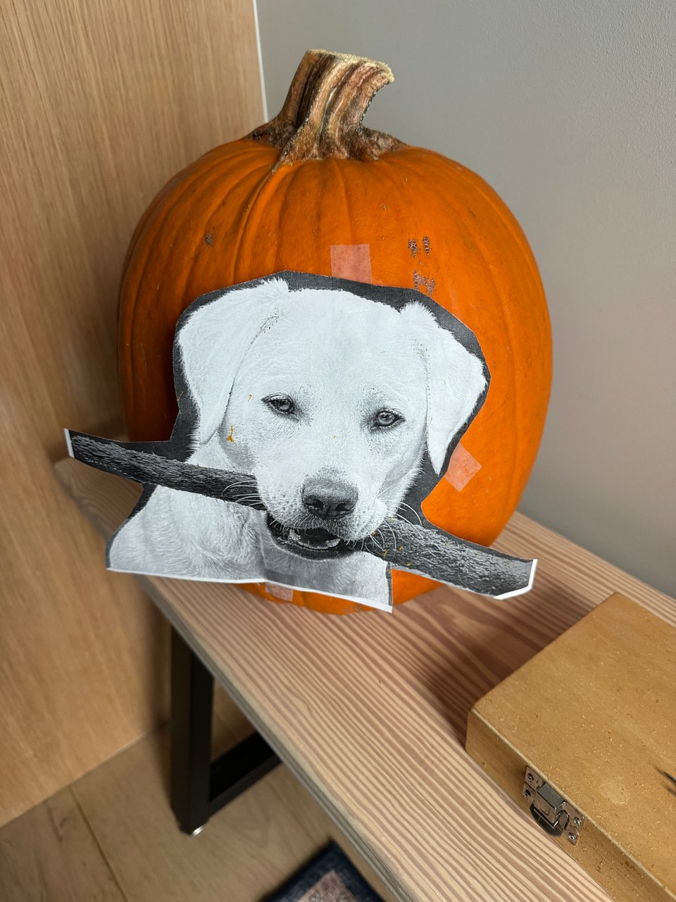 Pumpkin carving process