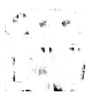 Street Law