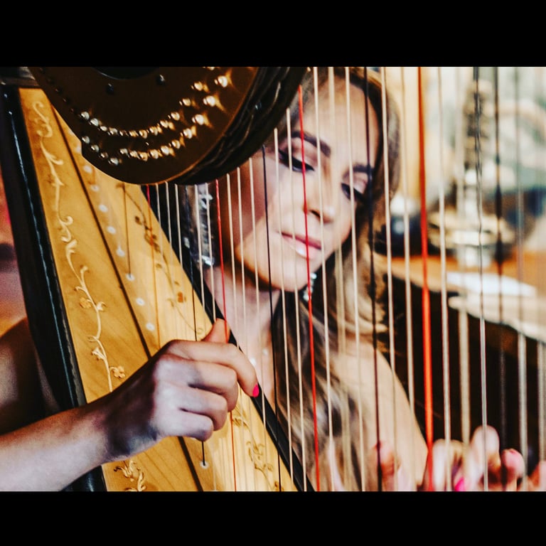 Charlotte - Harp performing live