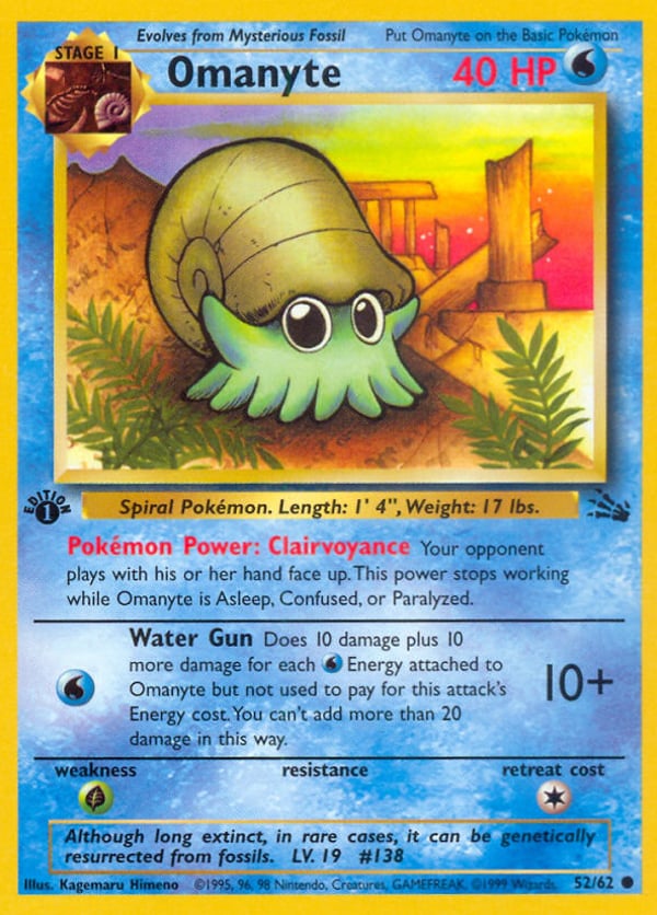 Omanyte – Common – Fossil