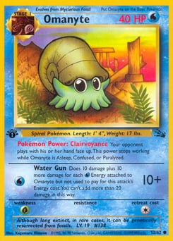 Omanyte – Common – Fossil