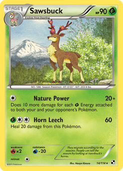 Sawsbuck – Rare – Black & White
