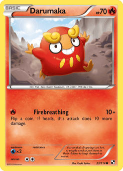 Darumaka – Common – Black & White