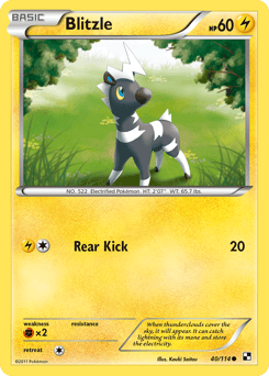 Blitzle – Common – Black & White