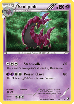 Scolipede – Rare – Black & White