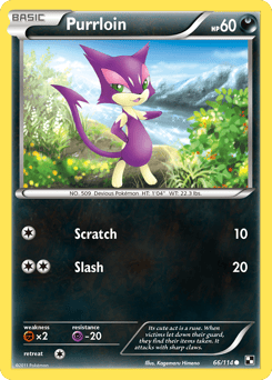 Purrloin – Common – Black & White