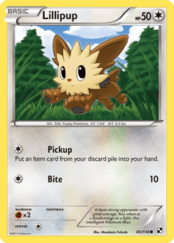 Lillipup – Common – Black & White