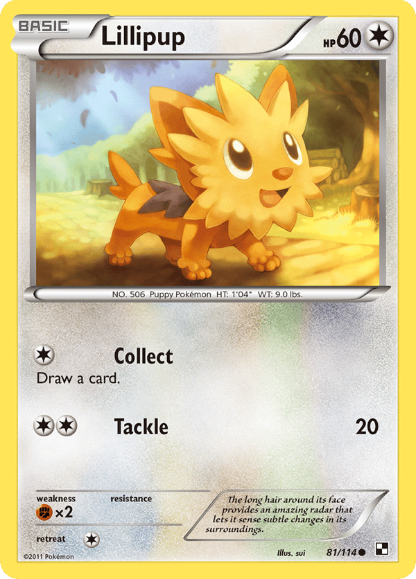 Lillipup – Common – Black & White