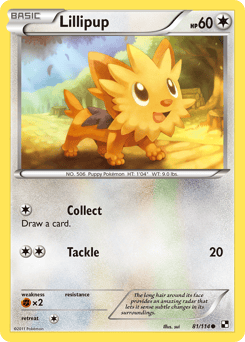 Lillipup – Common – Black & White