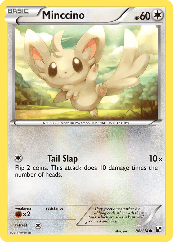 Minccino – Common – Black & White
