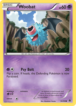 Woobat – Common