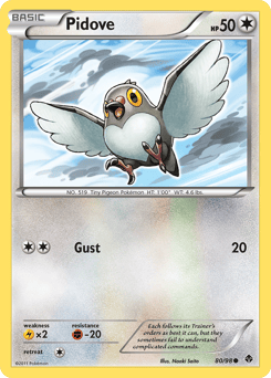 Pidove – Common