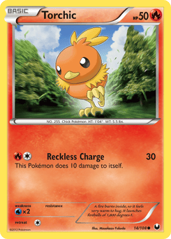 Torchic – Common