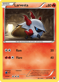 Larvesta – Common