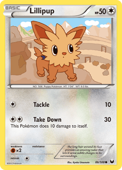Lillipup – Common