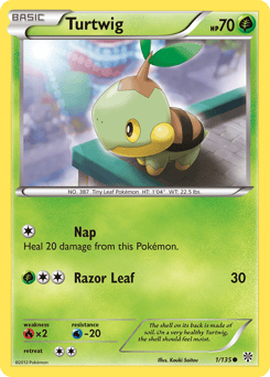 Turtwig – Common