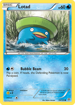 Lotad – Common