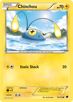 Chinchou – Common