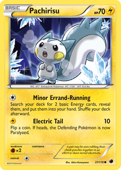 Pachirisu – Common