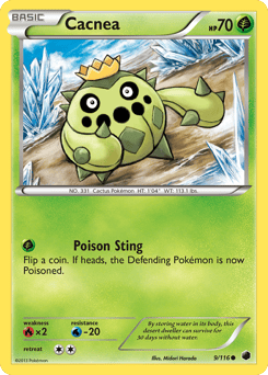 Cacnea – Common
