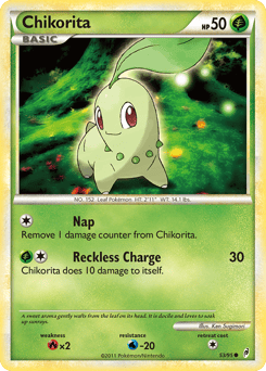 Chikorita – Common
