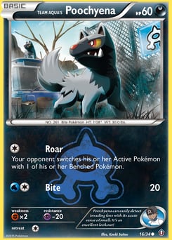 Team Aqua's Poochyena – Common
