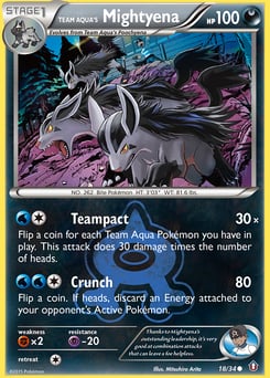 Team Aqua's Mightyena – Common