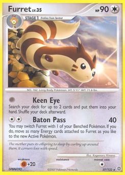 Furret – Rare