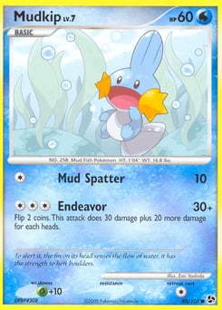 Mudkip – Common