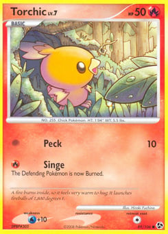 Torchic – Common