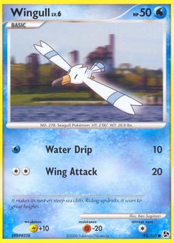 Wingull – Common