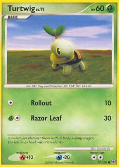 Turtwig – Common