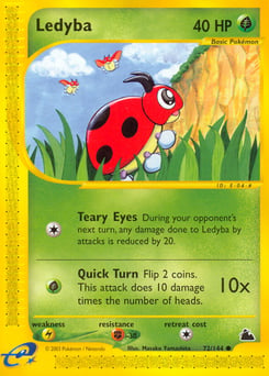 Ledyba – Common