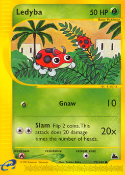 Ledyba – Common