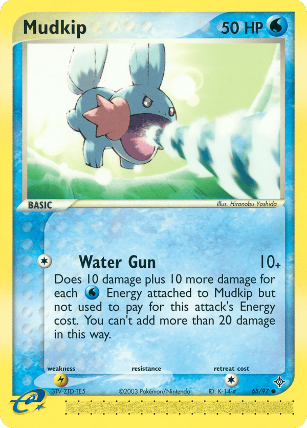 Mudkip – Dragon